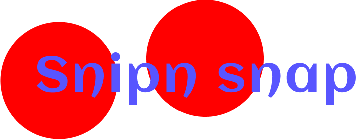 SnipSnap Store